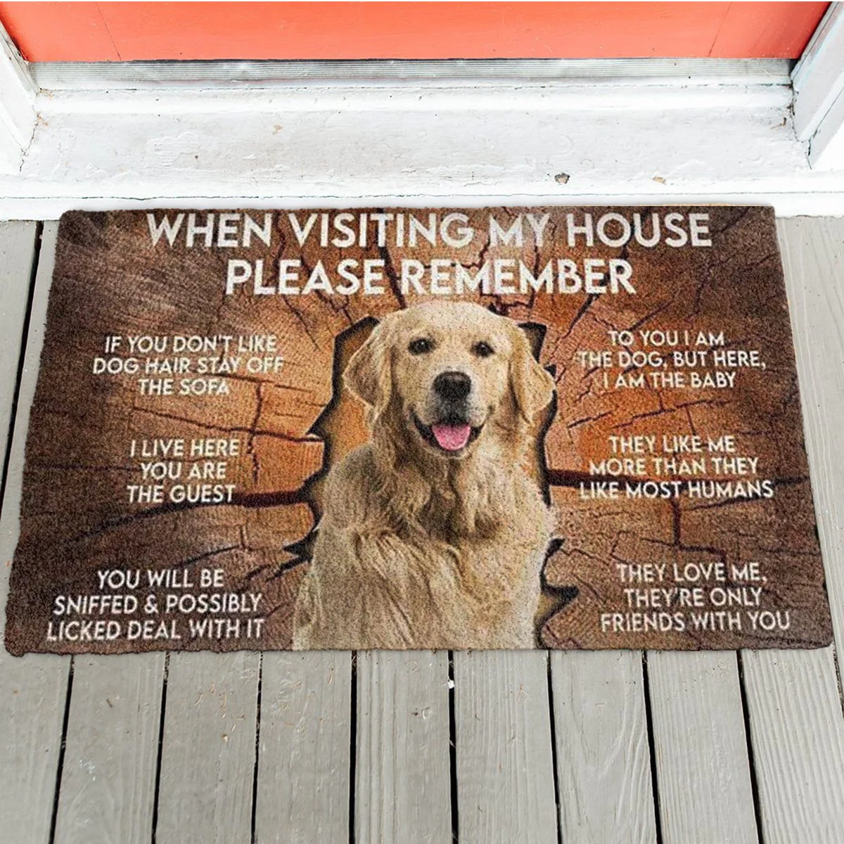 Custom Dog Photo When Visiting My House - Personalized Doormat - Gift For Dog Lovers - Image 3