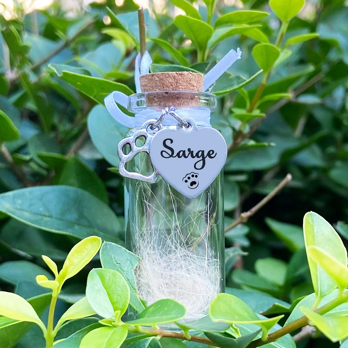 Custom Name Pet Fur Memorial Jar Personalized Gift - Image 3