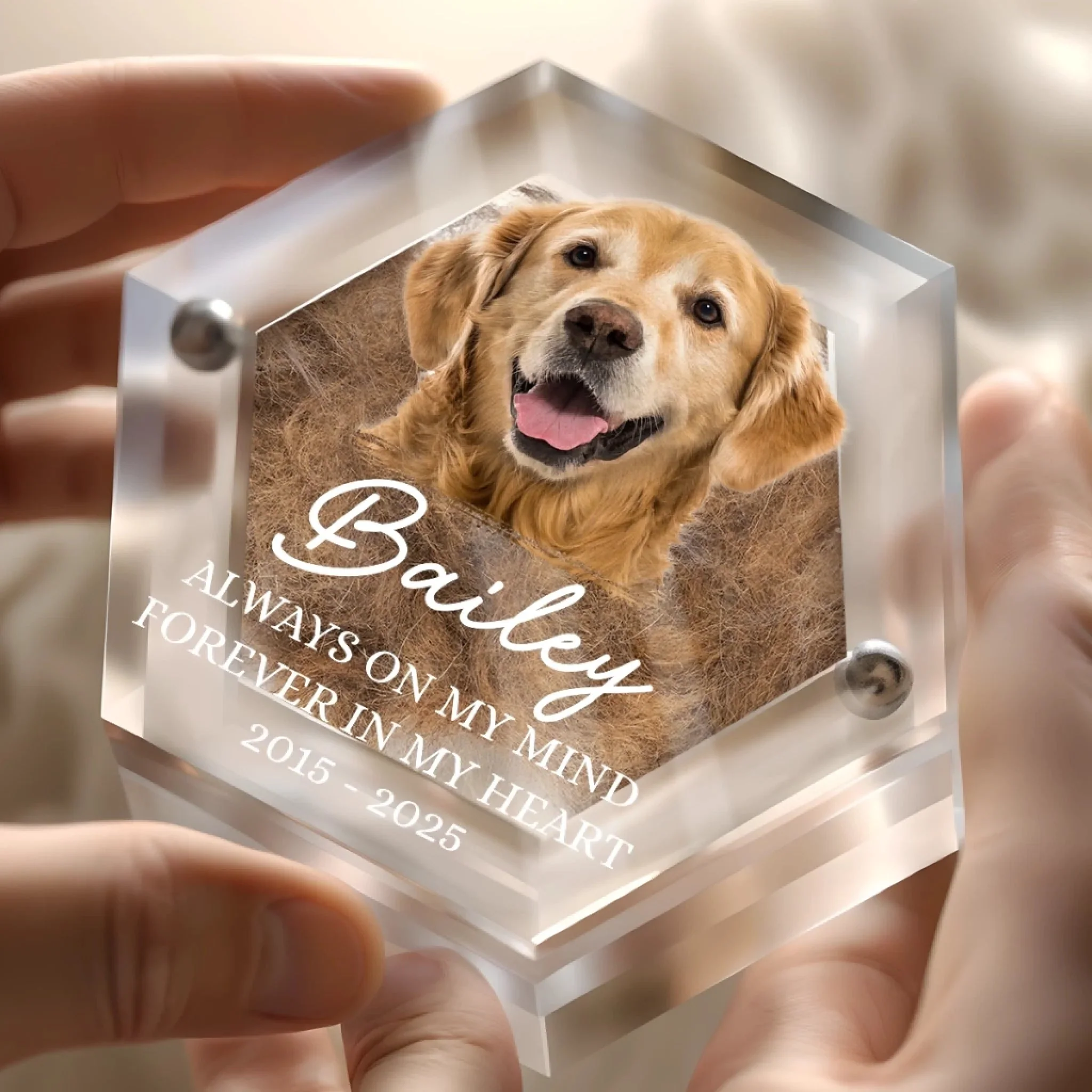 Custom Photo Pet Fur Keepsake - Personalized Pet Memorial Sympathy Gifts For Dogs, Cats, Loss Of Dog - Always In My Heart - Image 2