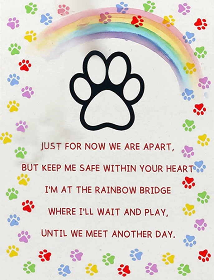 Custom Rainbow Bridge Bracelet - Personalized Pet Memorial Gifts For Dogs And Cats - Waiting At The Rainbow Bridge - Image 5