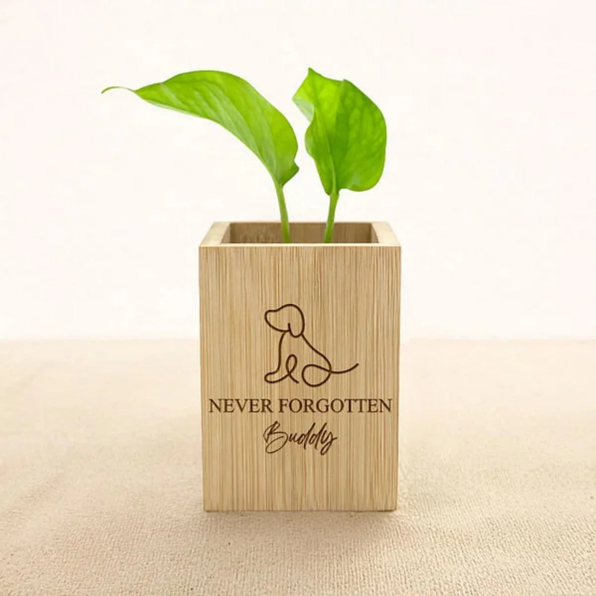 Personalised Pet Line Drawing Dog Cat Paw Print Wooden Flower Pot Sympathy Memorial Gift for Loss of Pet - Image 6