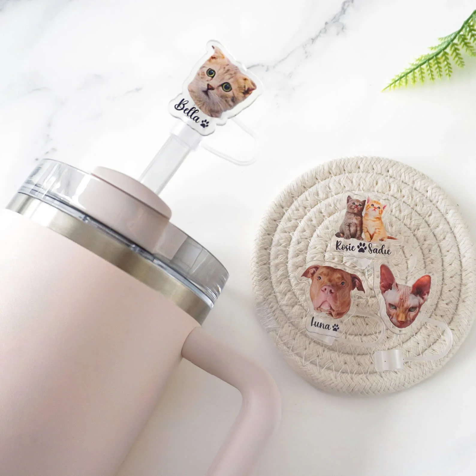Personalized Custom Pet Photo Tumbler Straw Cover Gift For Pet Lovers - Image 5