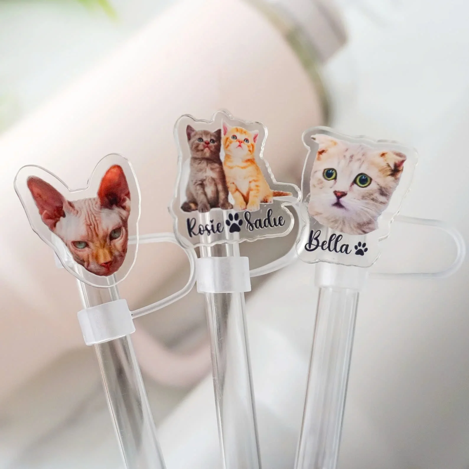 Personalized Custom Pet Photo Tumbler Straw Cover Gift For Pet Lovers - Image 7