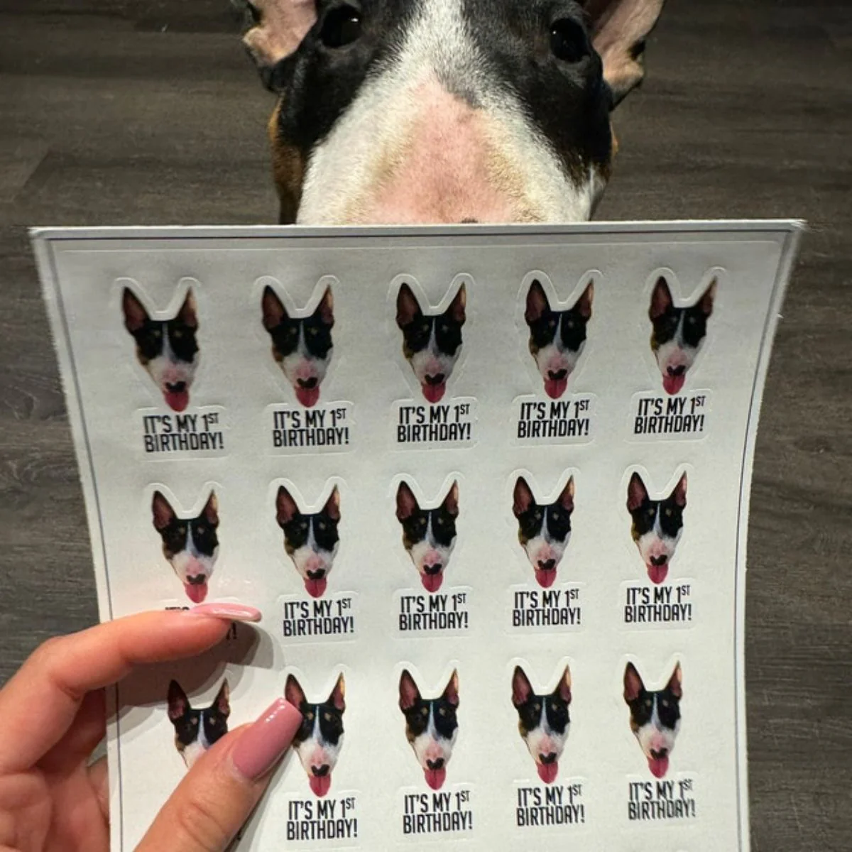 Personalized Custom Text Funny Face Stickers - Image 7