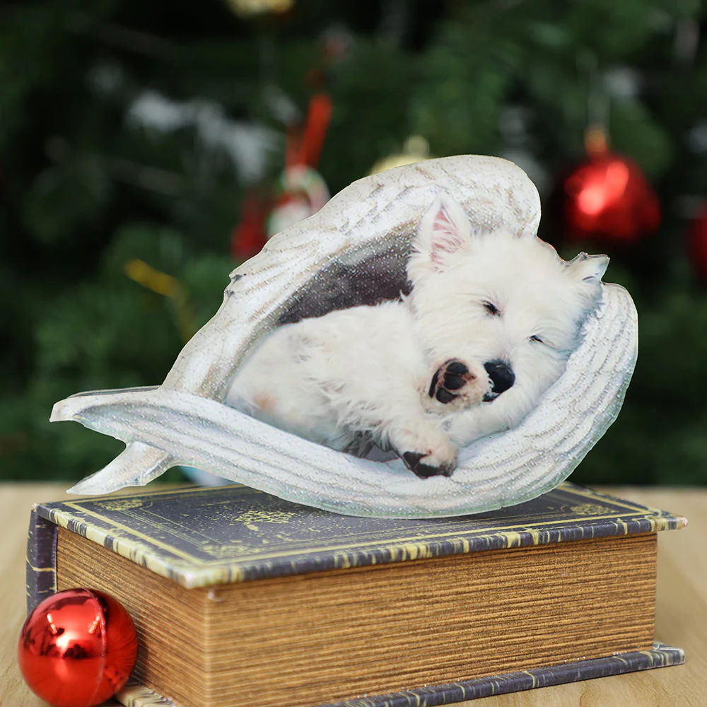 Personalized Dog Sleeping Angel Acrylic Plaque, Gift For Dog lover - Image 2