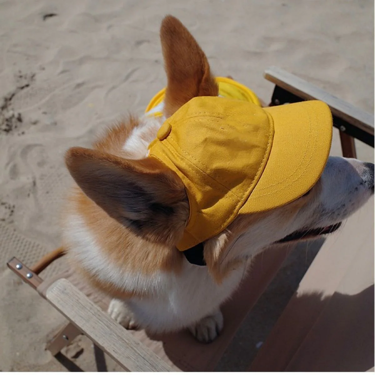 Personalized Dog Sun Hat Baseball Cap With Embroidered Name Gift for Pet Lovers - Image 6
