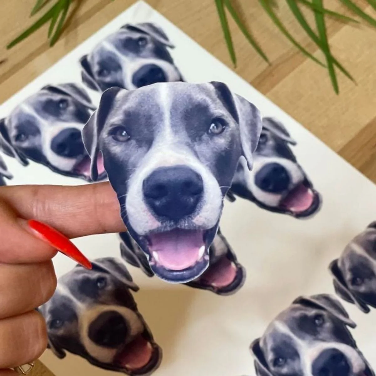 Personalized Funny Face Stickers - Image 15