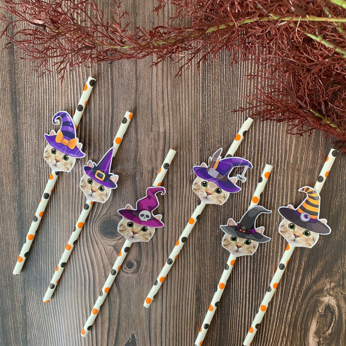Personalized Halloween Witch Themed Party Face Straws - Image 4