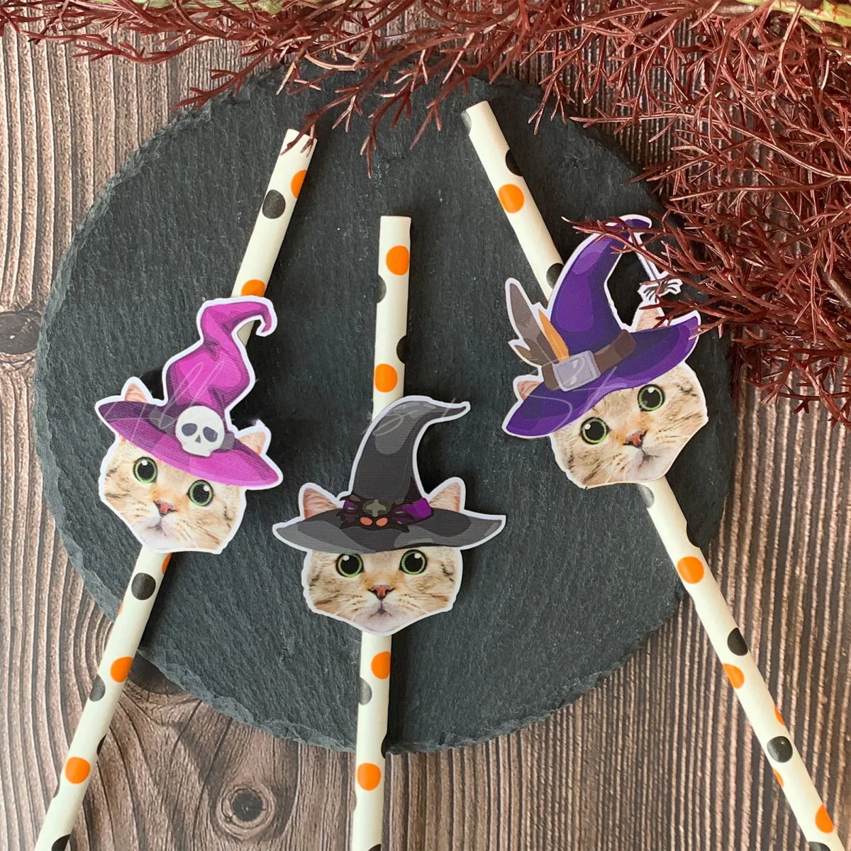 Personalized Halloween Witch Themed Party Face Straws - Image 7