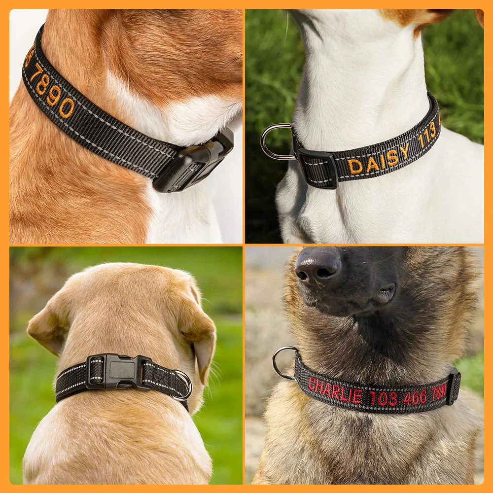 Personalized Multicolor Adjustable Reflective Strips Dog Collar with Embroidered Pet Name and Phone Number - Image 5