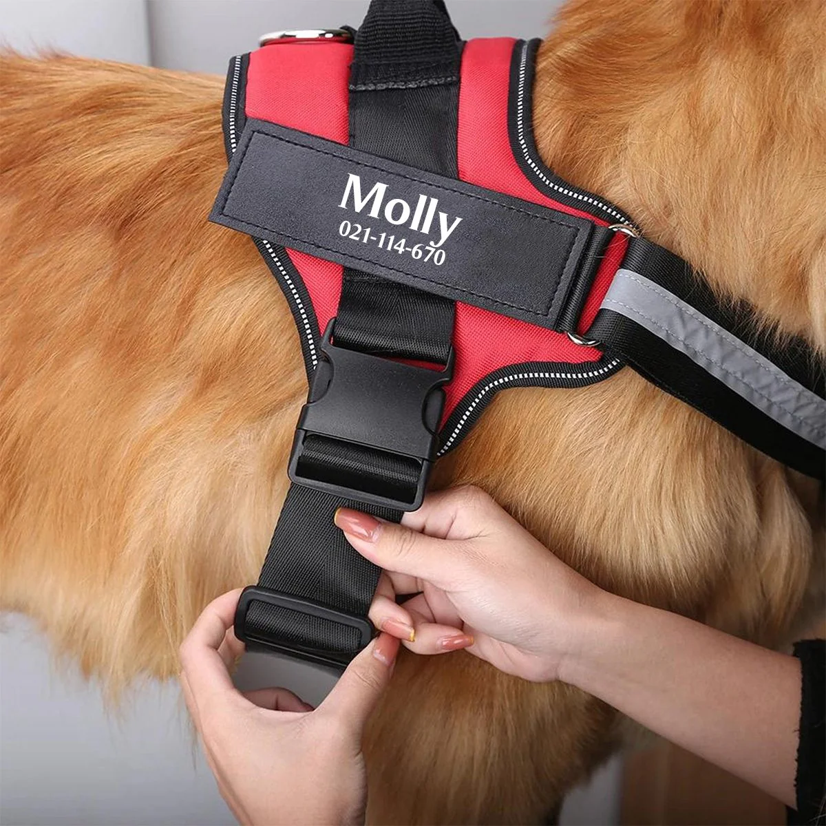 Personalized NO PULL Harness - Image 3