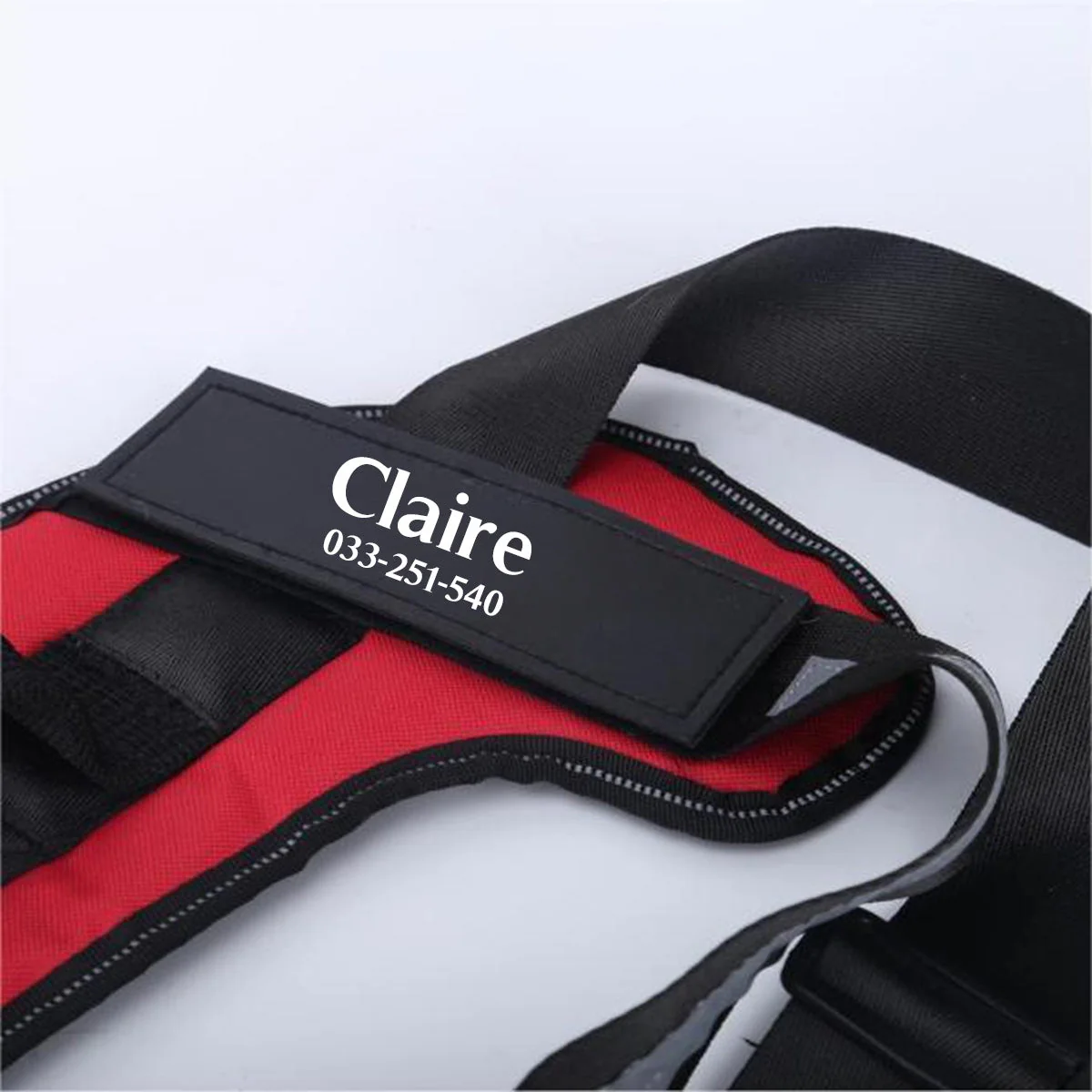 Personalized NO PULL Harness - Image 4