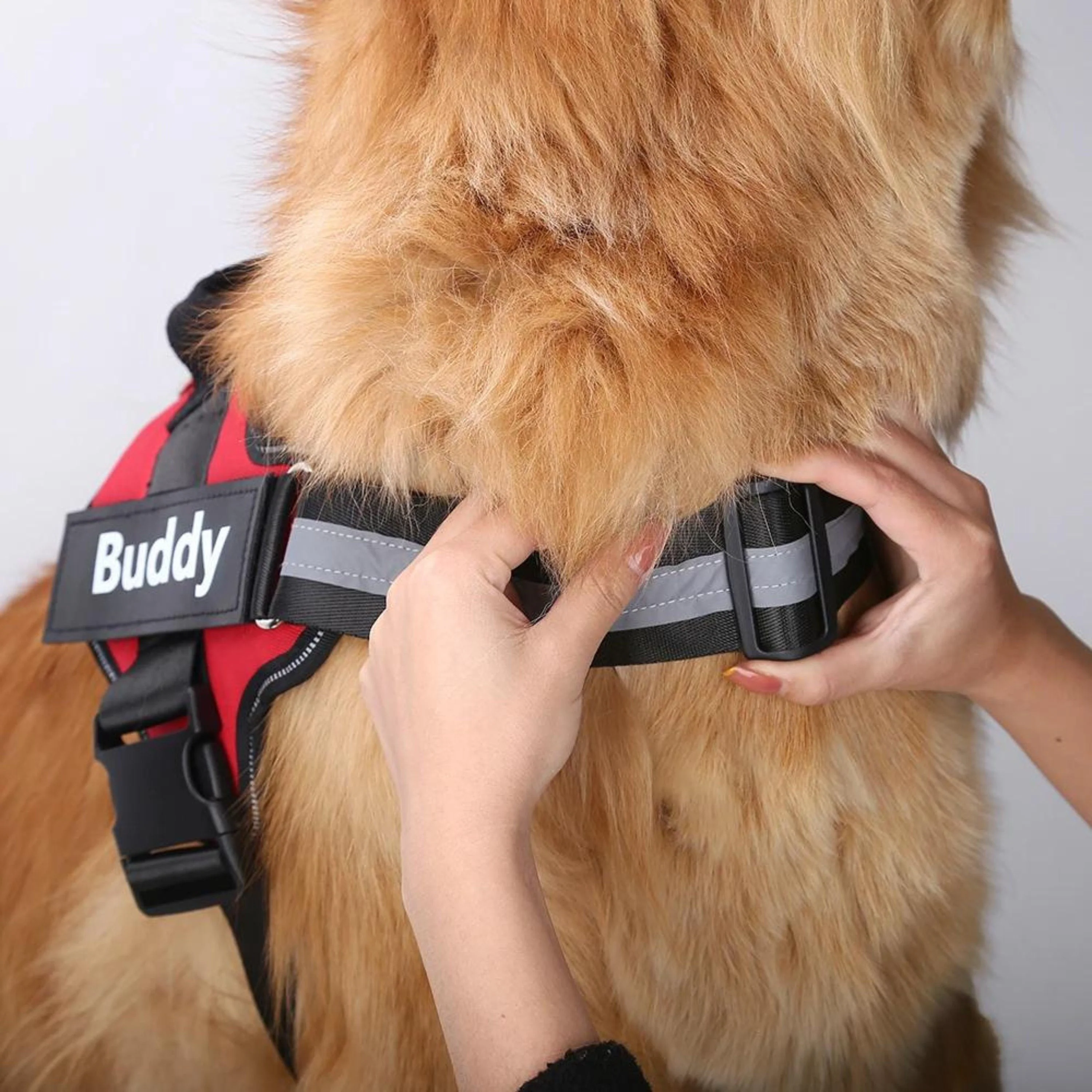 Personalized NO PULL Harness - Image 8