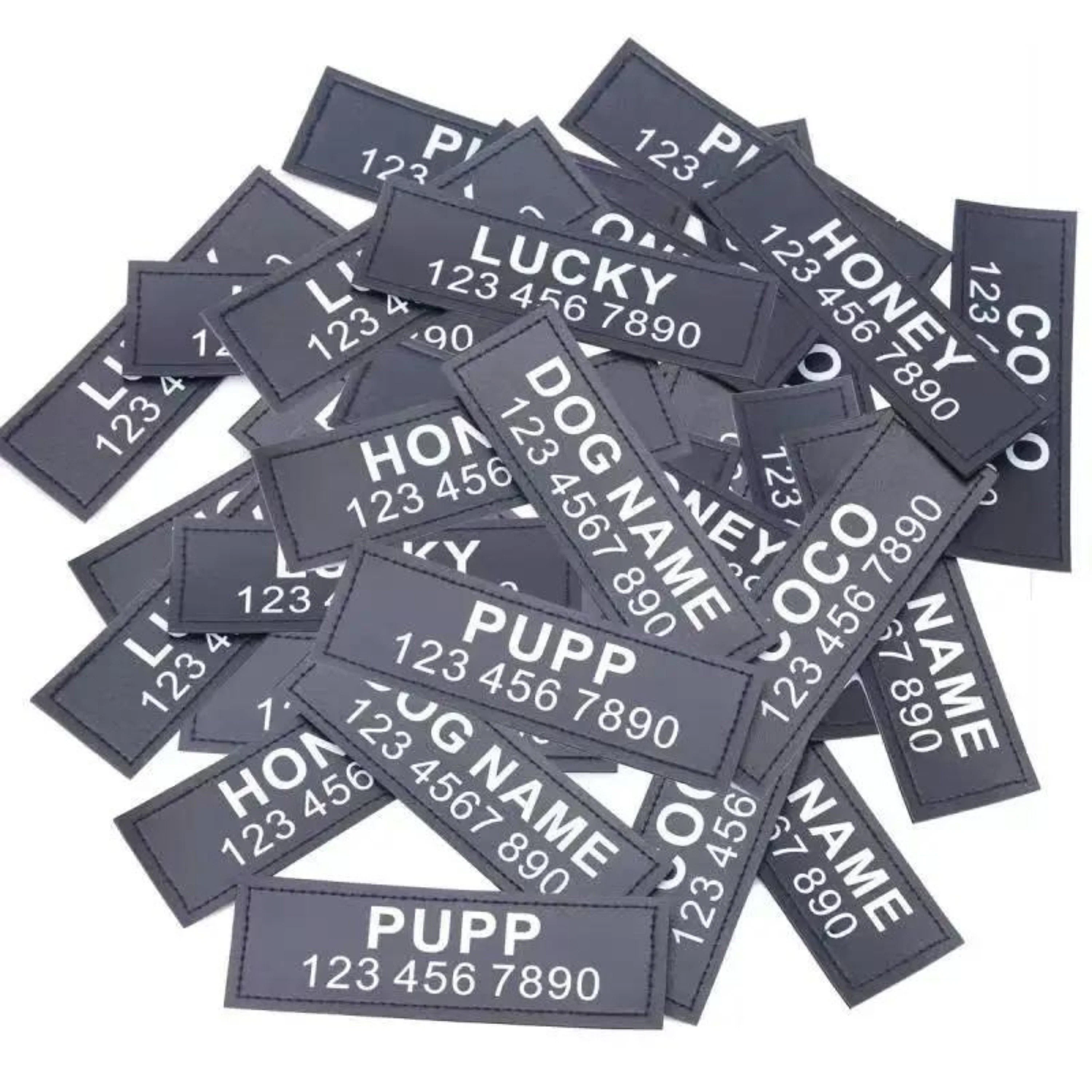 Personalized NO PULL Harness - Image 9