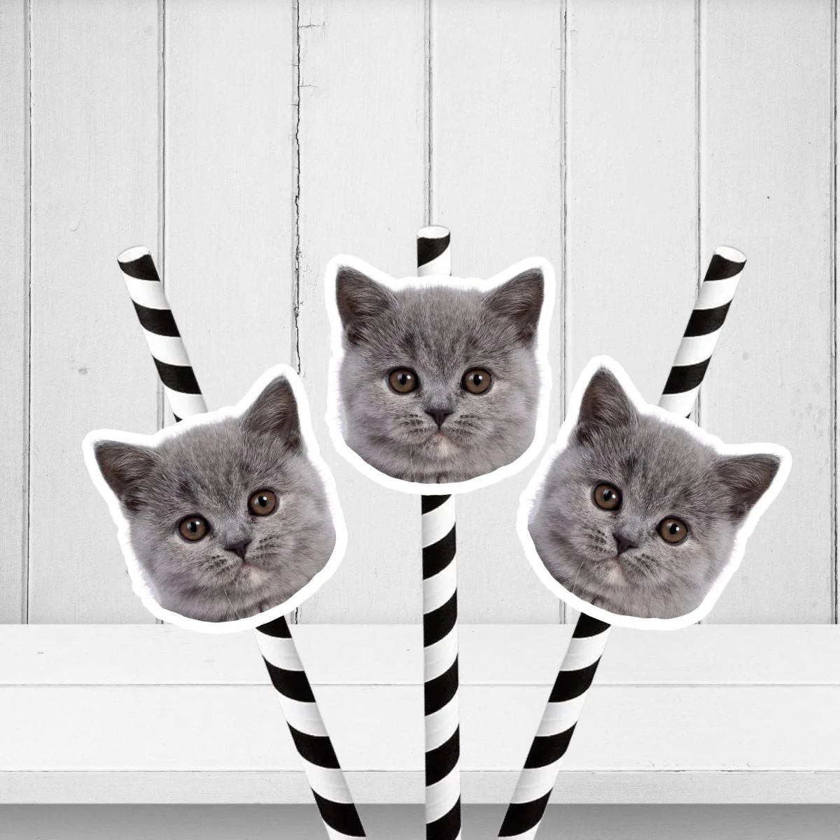 Personalized Pet Face Straws Party Decorations - Image 11