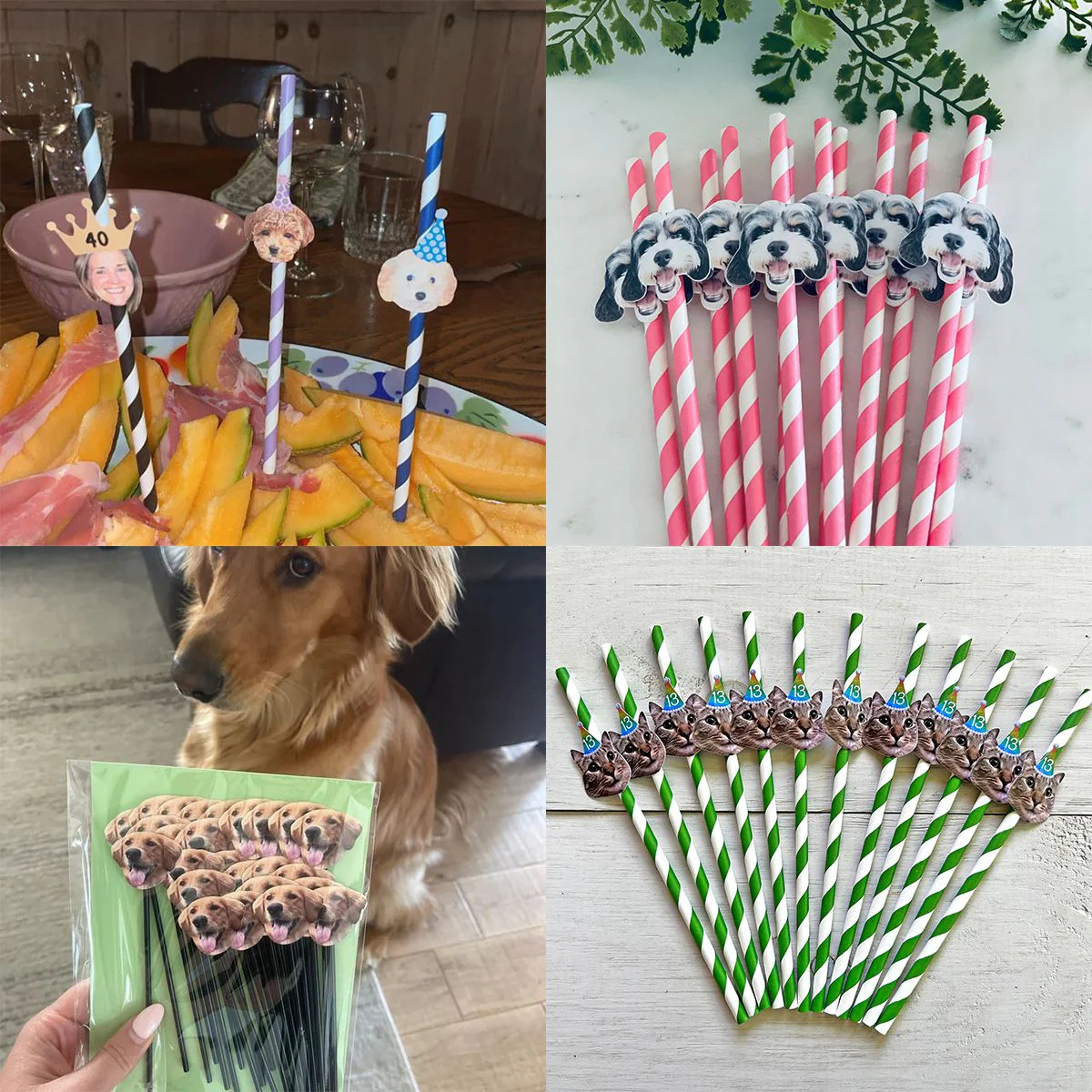 Personalized Pet Face Straws Party Decorations - Image 5