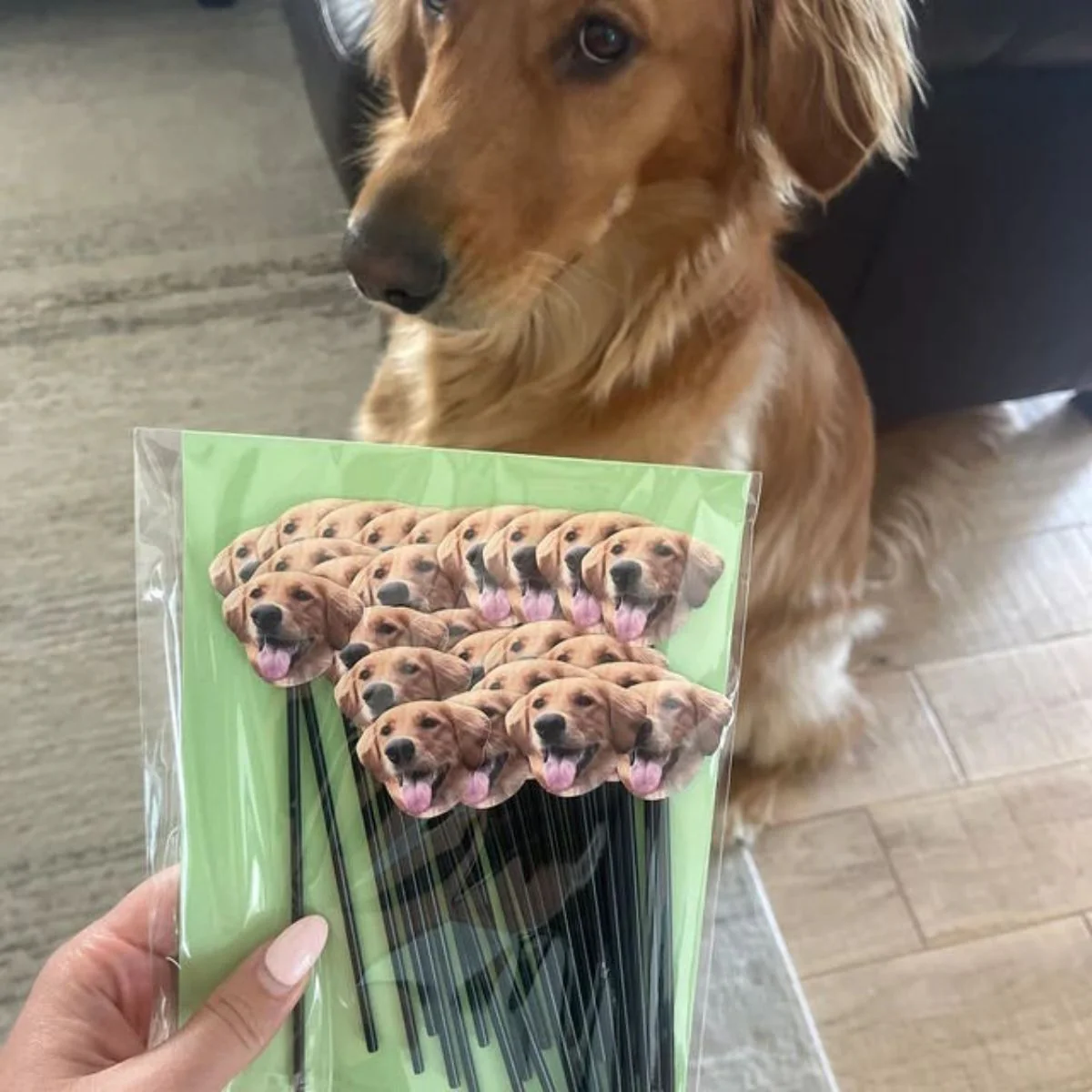 Personalized Pet Face Straws Party Decorations - Image 6