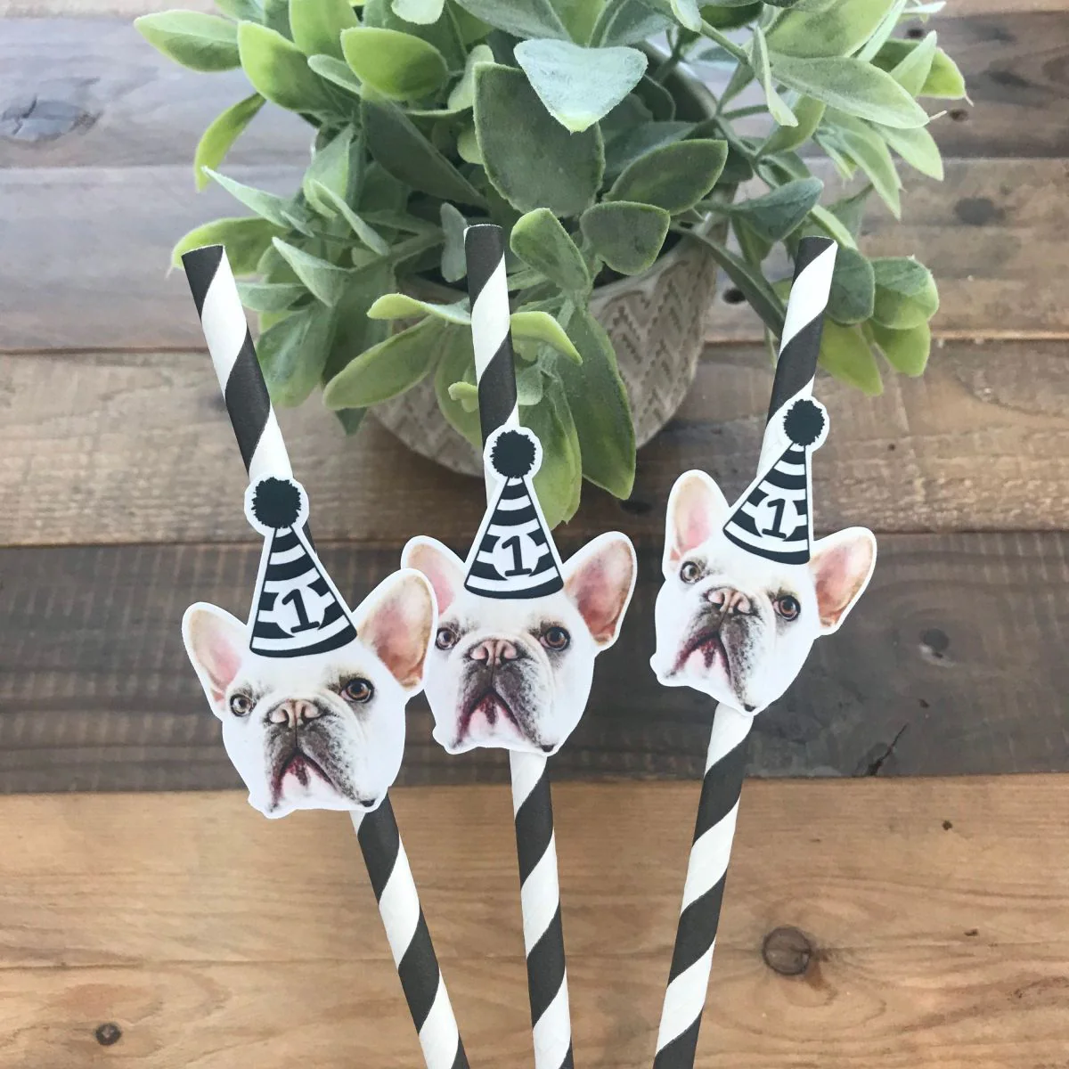Personalized Pet Face Straws Party Decorations - Image 7