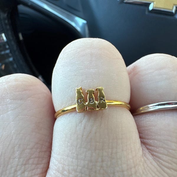 Personalized Pet Ring Pet Lover Memorial Gift Sympathy Gift Stackable Engraved Animal Initial Ring - Image 12