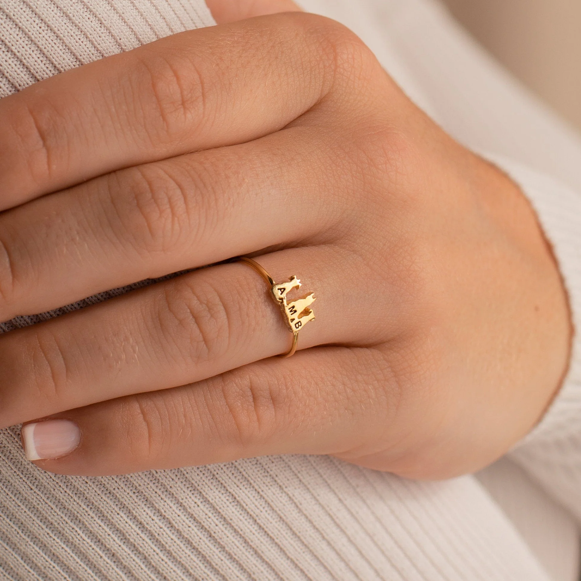 Personalized Pet Ring Pet Lover Memorial Gift Sympathy Gift Stackable Engraved Animal Initial Ring - Image 3