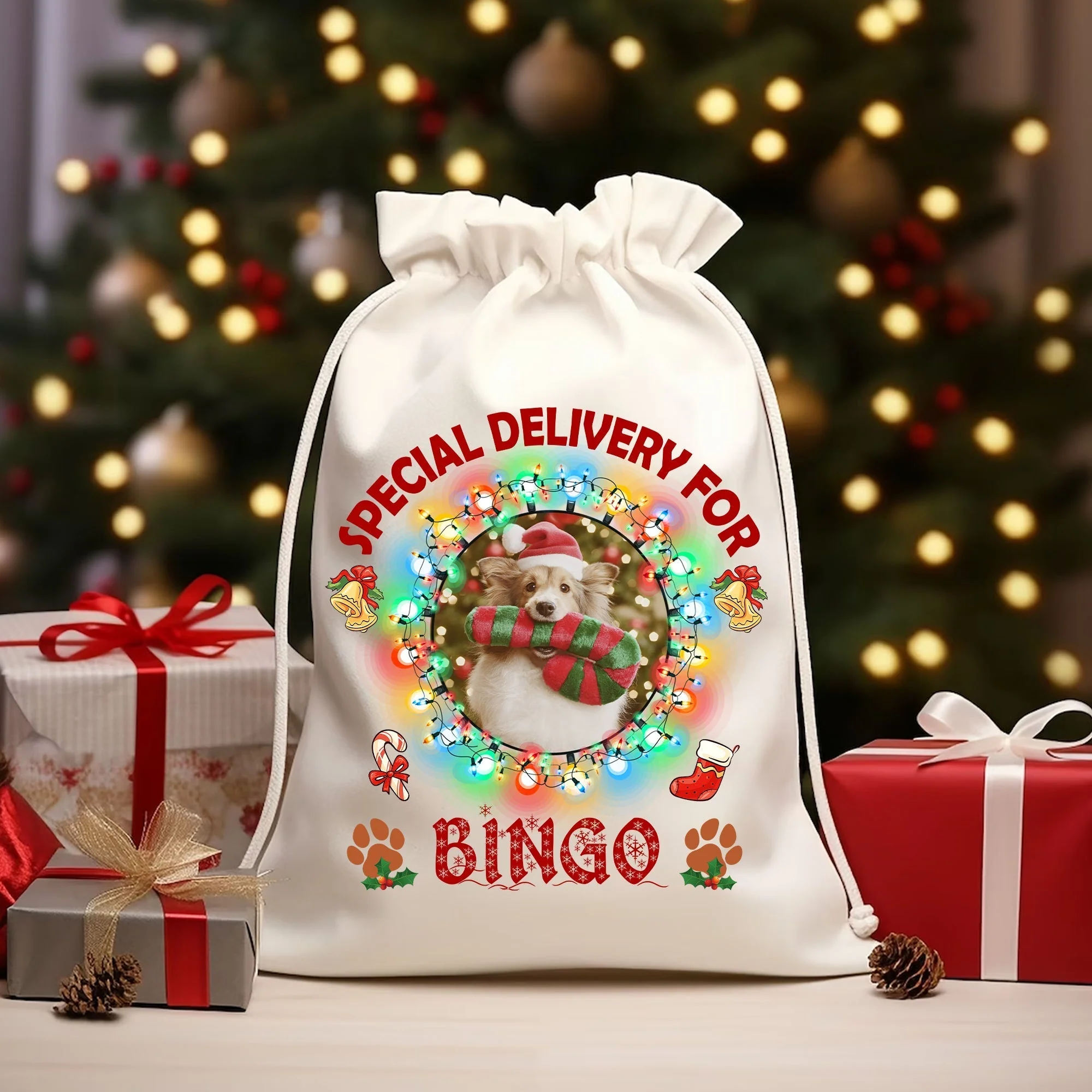 Special Delivery For Pet - Custom Photo And Name, Personalized String Bag, Gift For Pet Lover, Christmas Gift - Image 2