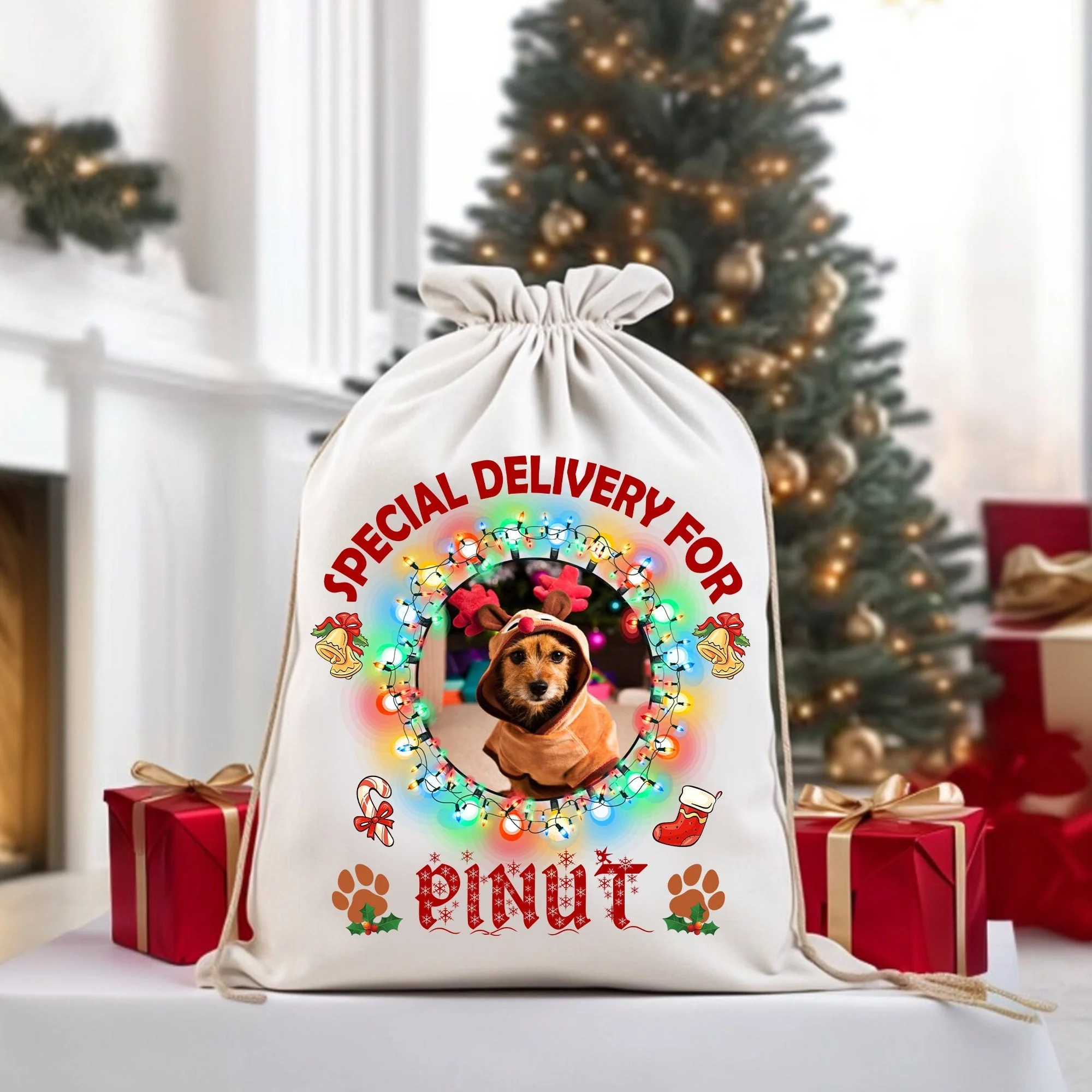 Special Delivery For Pet - Custom Photo And Name, Personalized String Bag, Gift For Pet Lover, Christmas Gift - Image 3